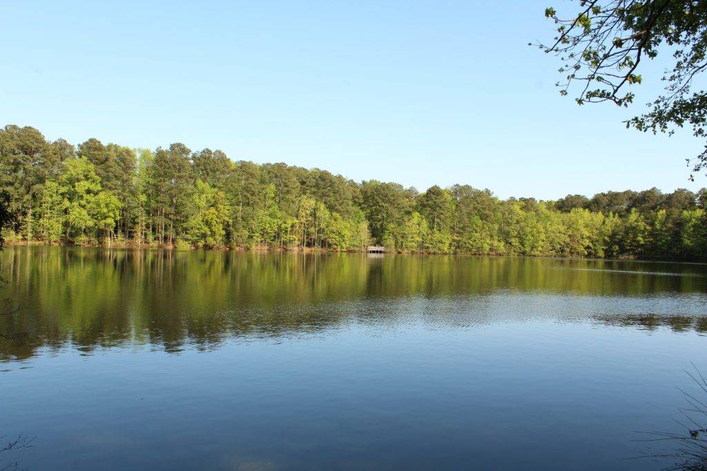 Sandy Bottom Lake