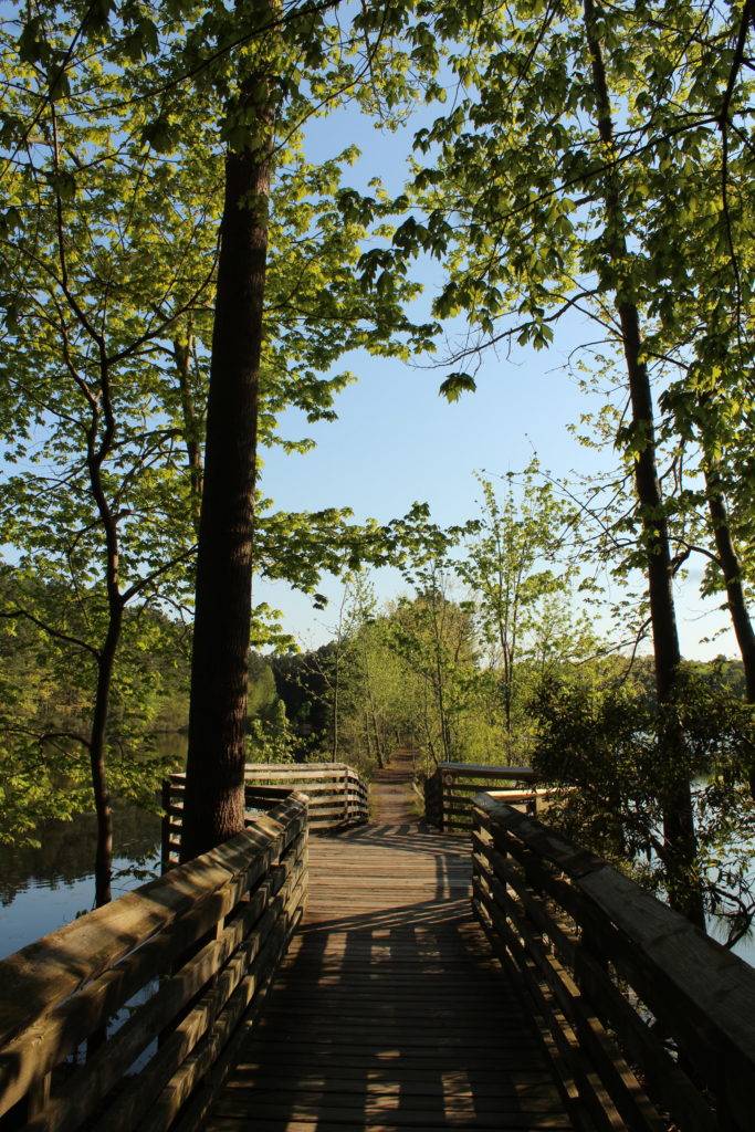 Boardwalk and deck over a lake shaded by trees