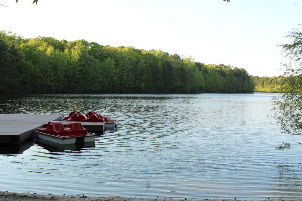 red paddle boats on a rippling lake with green trees in the background at Sandy Bottom Nature Park