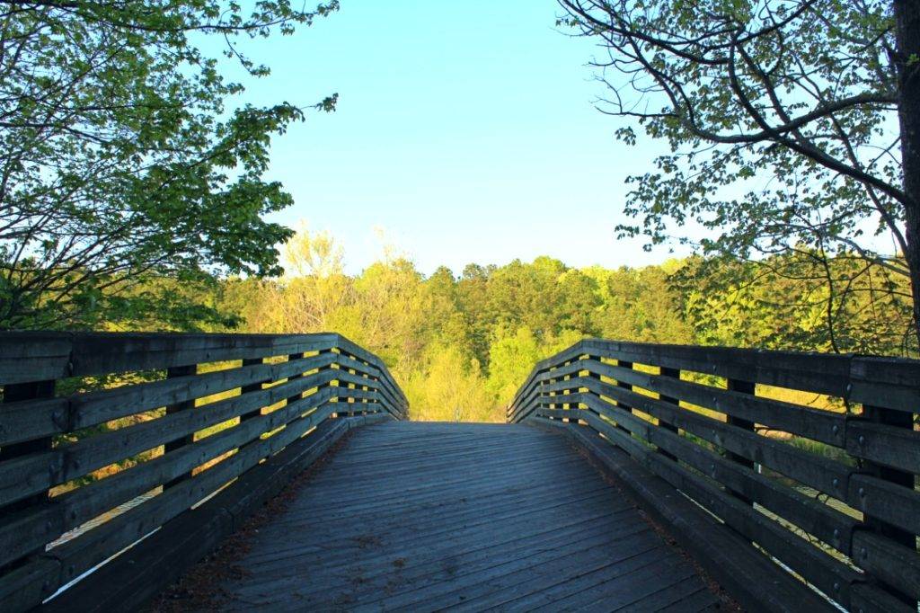 Bridge at Sandy Bottom Nature Park