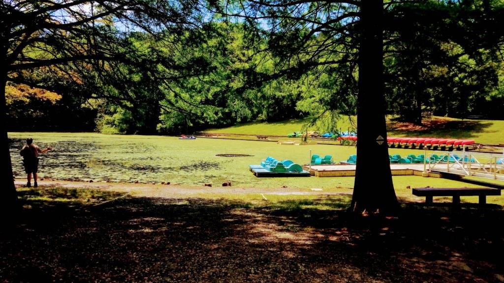 Boats for rent on Lake Lesa at Northwest River Park