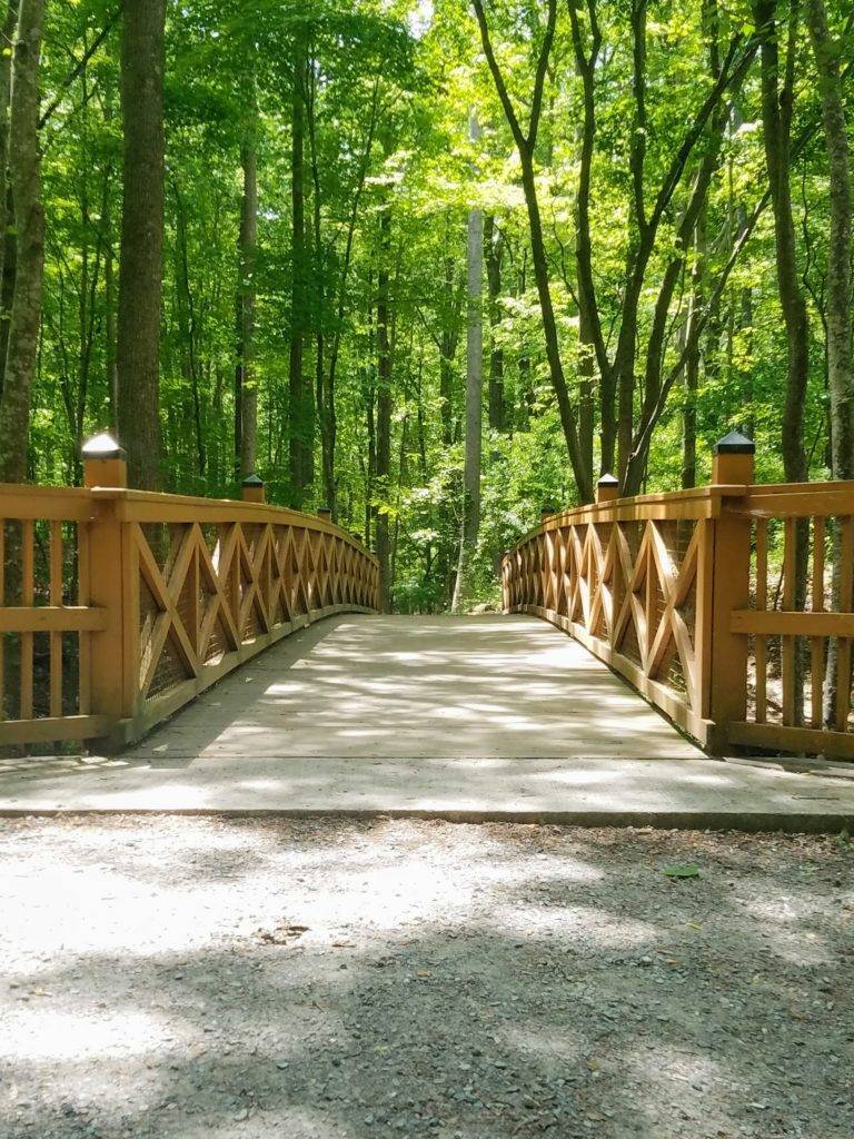 Bridge at Northwest River Park