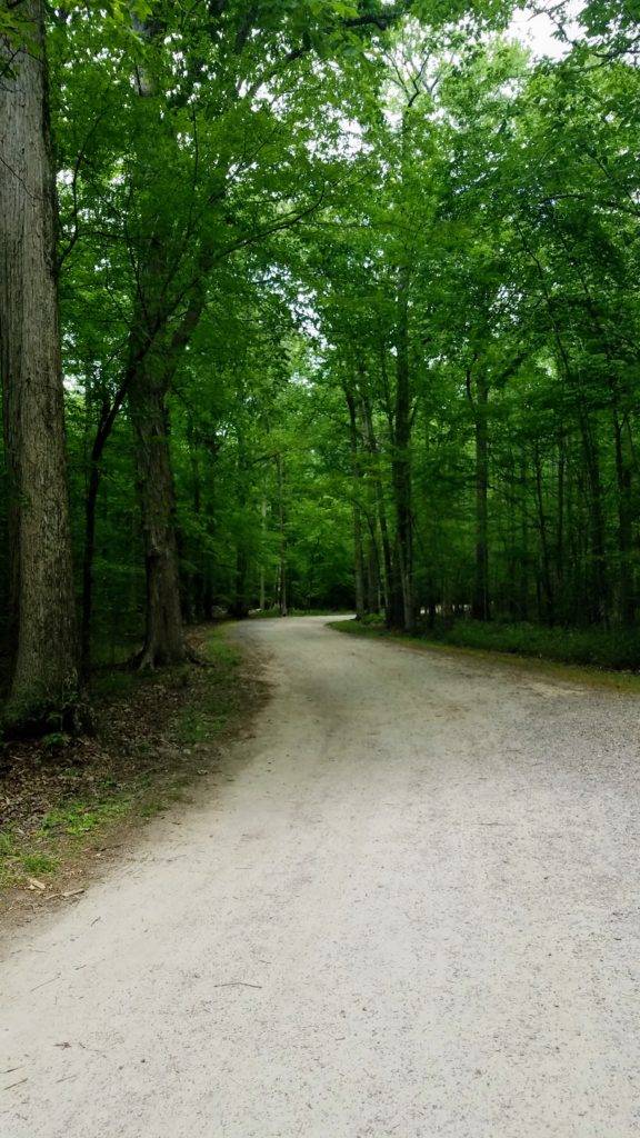 Hiking trail at Northwest River Park