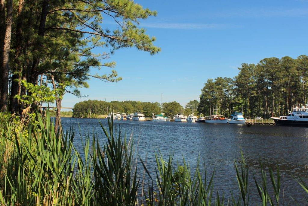 grassy bank with yachts on the water