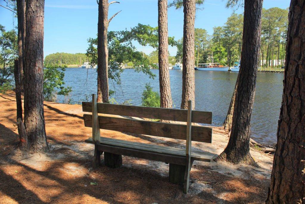 wooden bench underneath trees overlooking a river