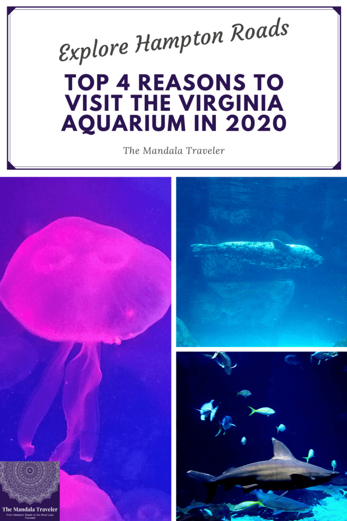 Virginia Aquarium pin