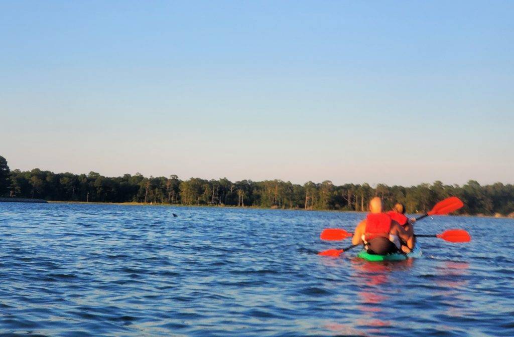 Dolphin in Broad Bay, VA