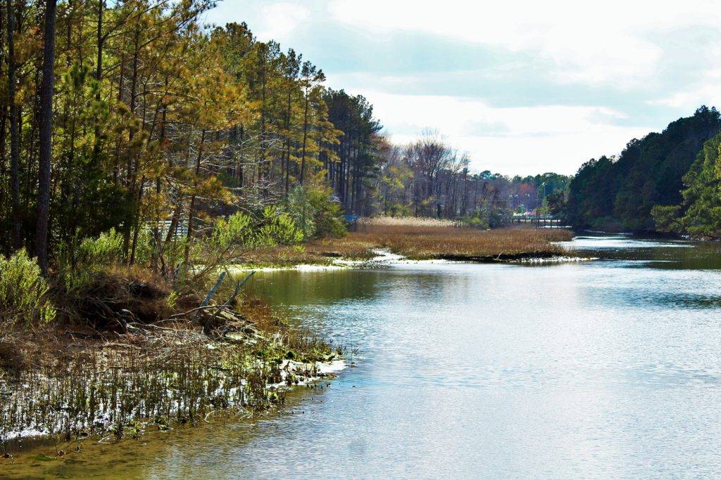 View of Rudee Inlet