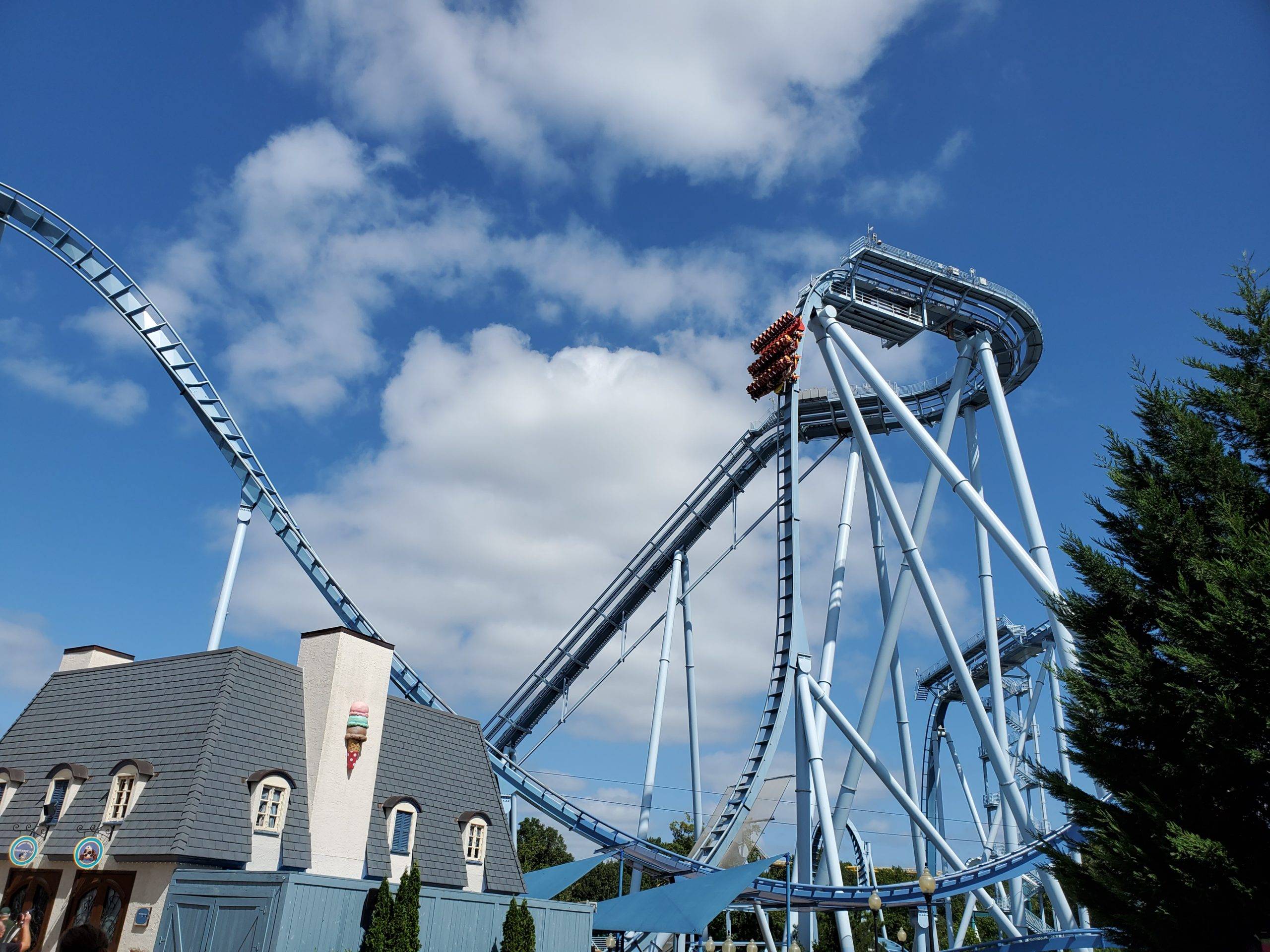 Griffon at Busch Gardens