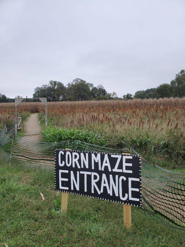 sign promoting a corn maze at a farm in Chesapeake