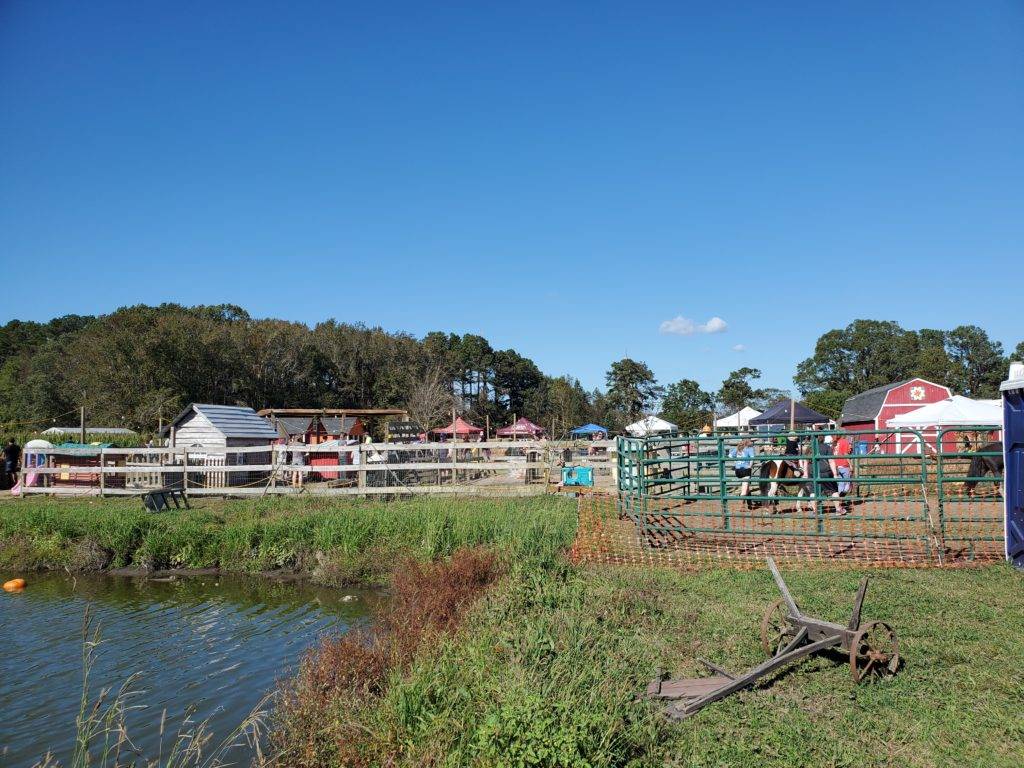 Fall activities at Hickory Ridge Farm