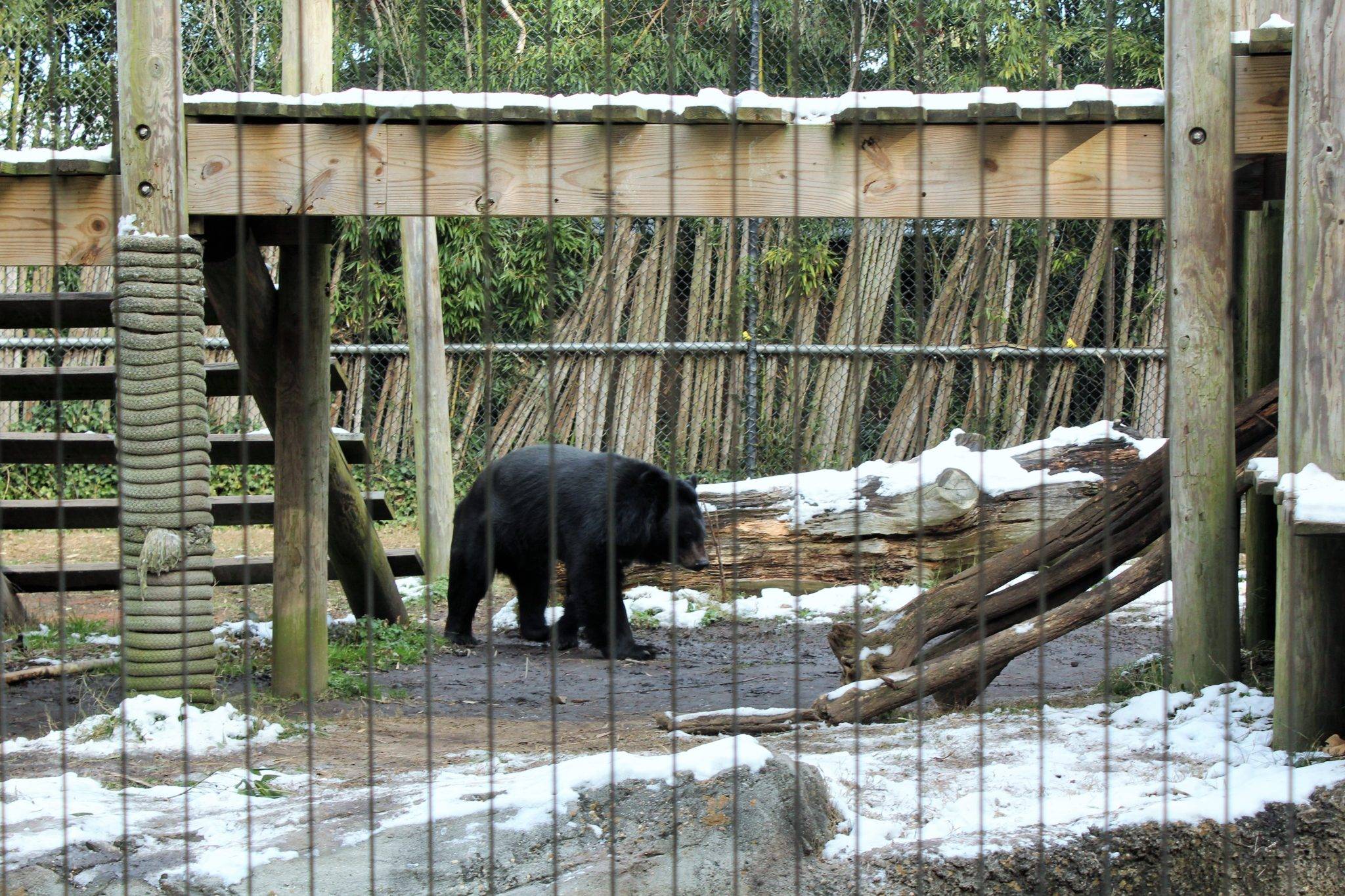 Have You Been To The Virginia Zoo? It’s Time!