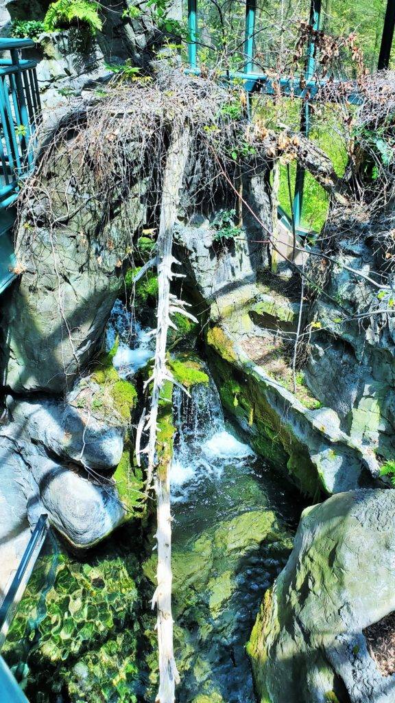 2-story waterfall in the Appalachian Mountain Cove at Virginia Living Museum