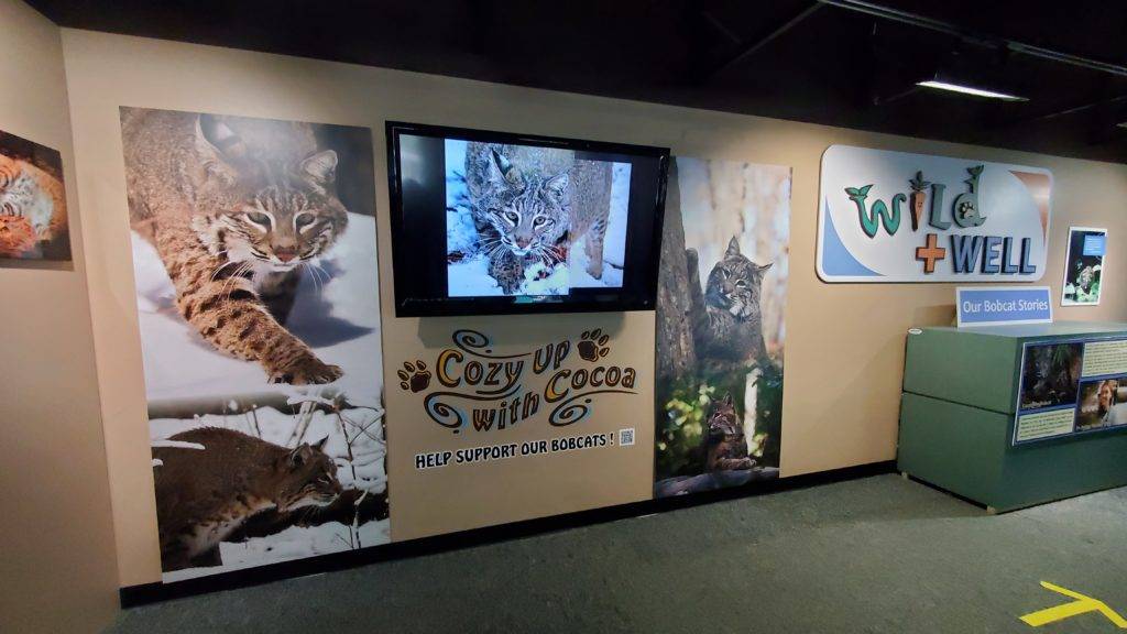 Wild & Well Discovery Center at Virginia Living Museum