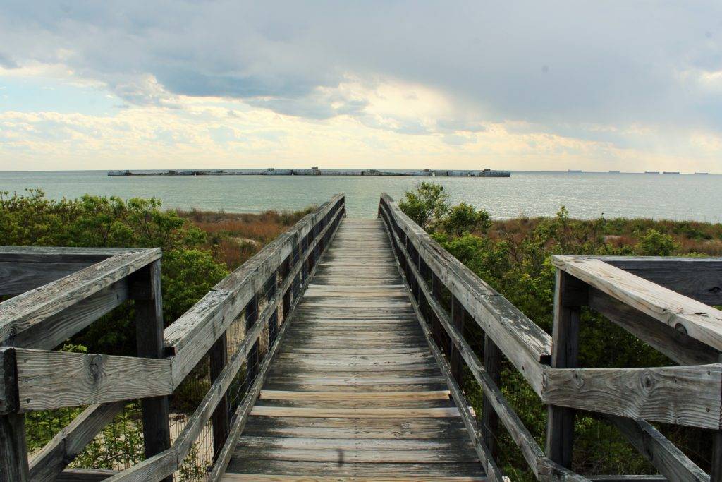 The concrete fleet from the Osprey Boardwalk at Kiptopeke State Park