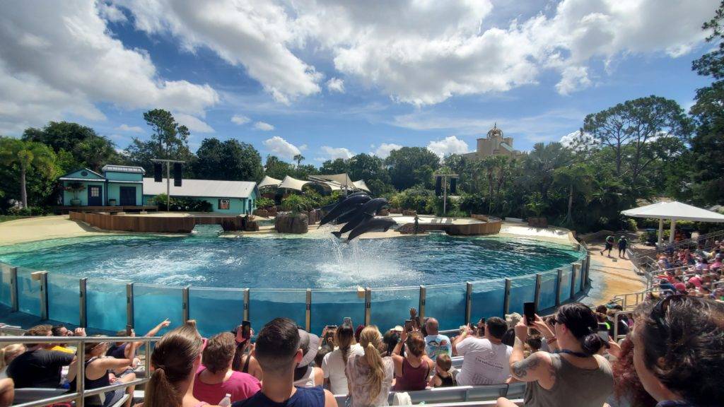 Dolphin Adventure show at SeaWorld