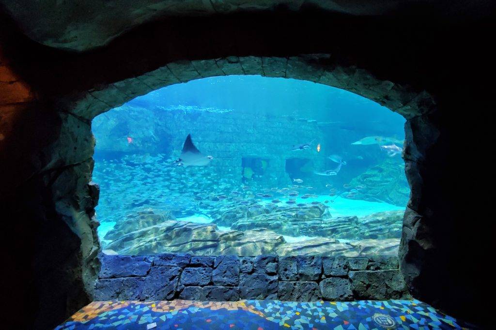 Manta Aquarium at SeaWorld