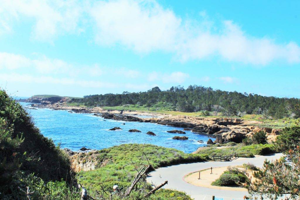 winding road along a rocky coastline