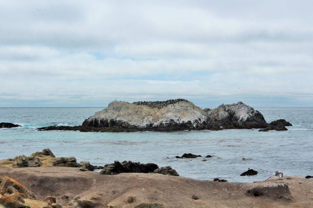 large rock covered with birds and guano in the shallows of the Pacific ocean 