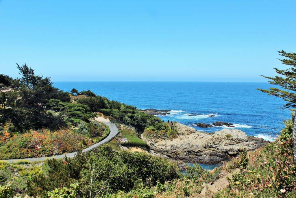 Hwy 1 with a grassy hillside, blue ocean and blue sky in the background