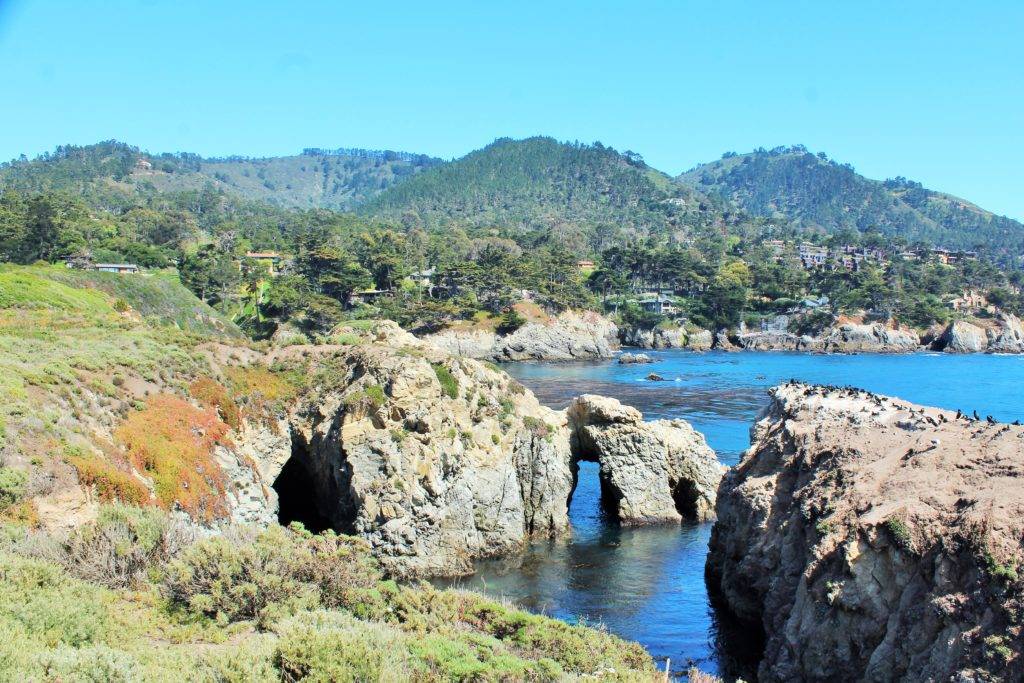 Rocky cliff formations on the ocean with caves and white rock arches. Seabirds in the foreground.