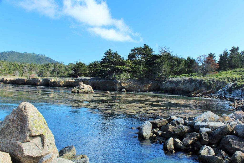 rocky shoreline around a peaceful cove with tress and blue sky