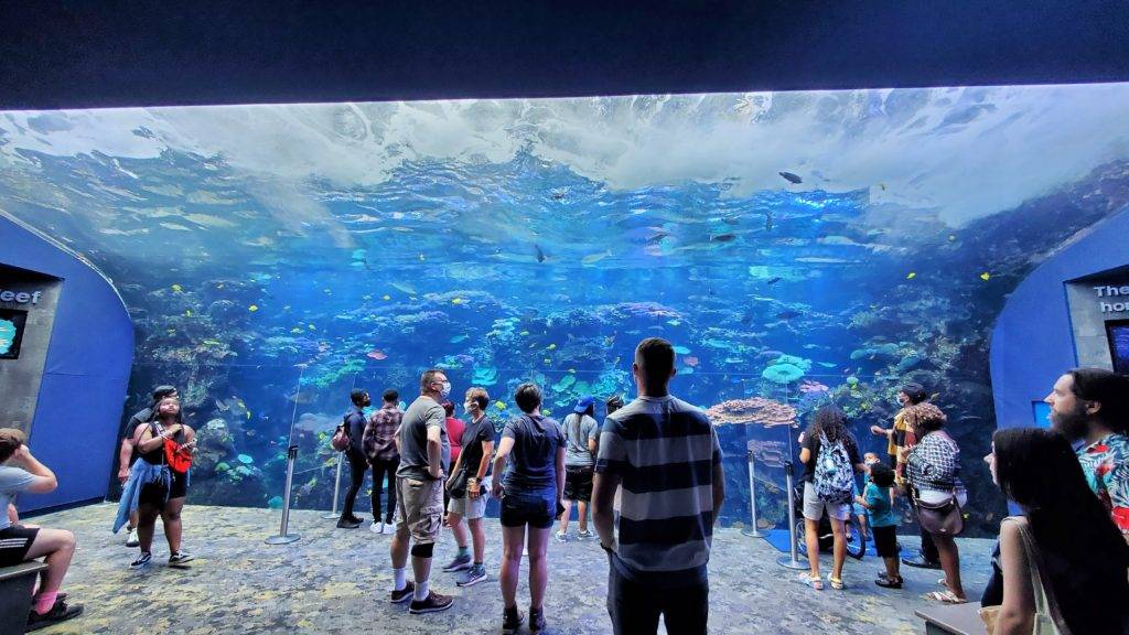 Colorful Indo-Pacific reef at the Georgia Aquarium