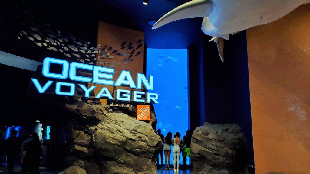 Ocean voyager exhibit Georgia Aquarium