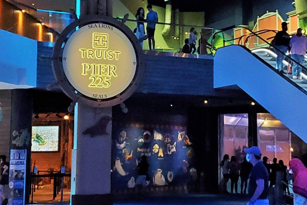 Truist Pier seal exhibit at Georgia Aquarium
