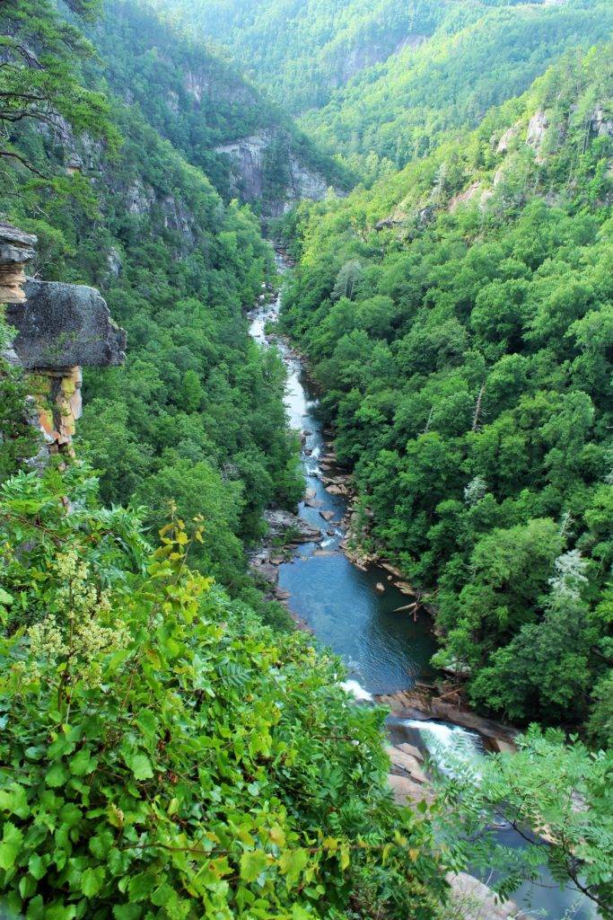 Tallulah Gorge and Tallulah River starting at Oceana Falls