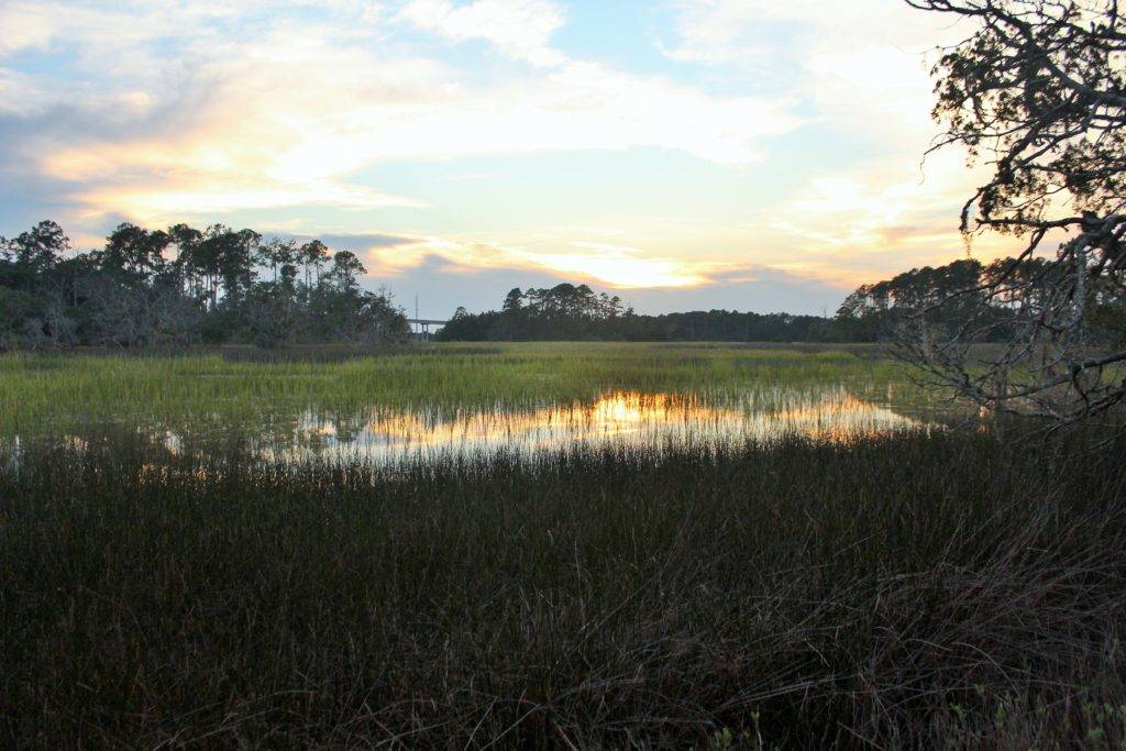 Sunset reflecting off marshwaters at Skidaway Island