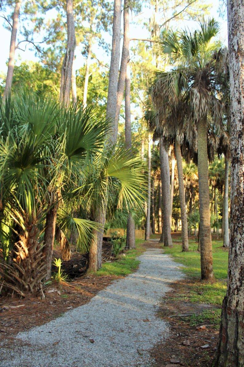 What to See on Skidaway Island’s Most Popular Trail