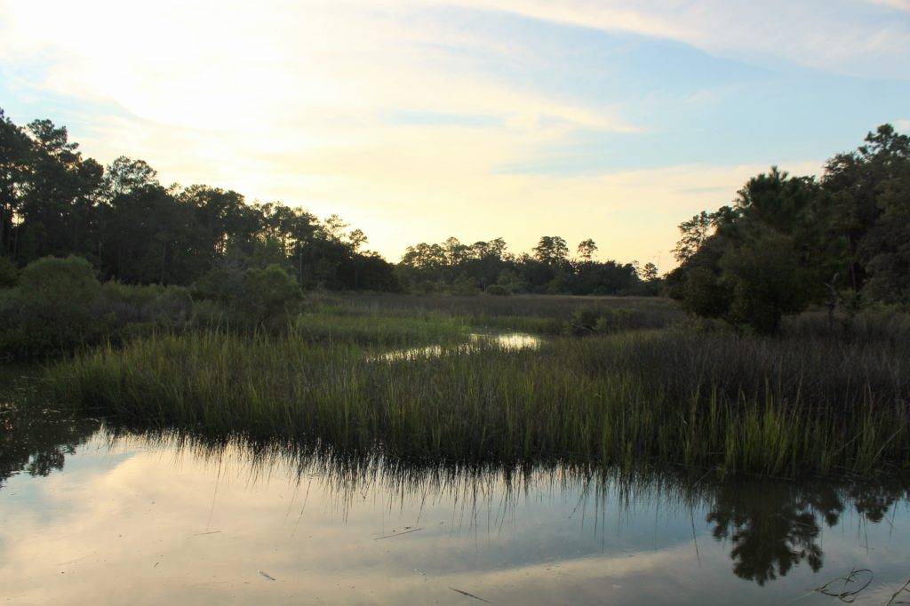 high tide in the marsh at Skidaway Island, Savannah, Georgia