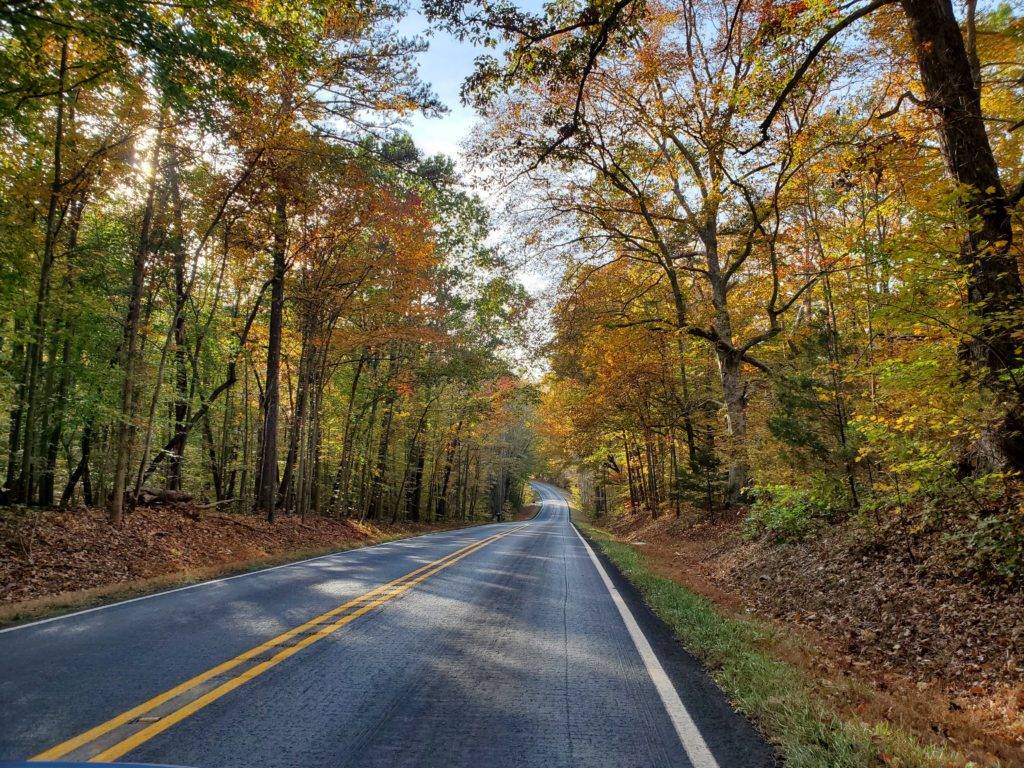 two-lane road with fall-colored tress on either side, Schuyler, VA