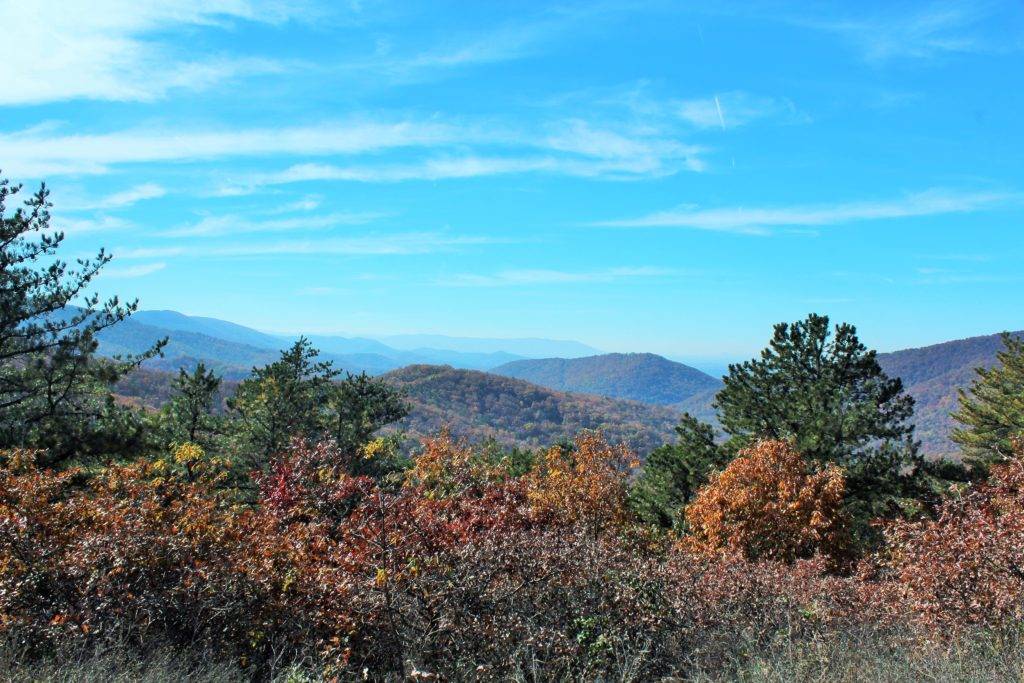 Colorful trees with mountains in the background Skyline Drive