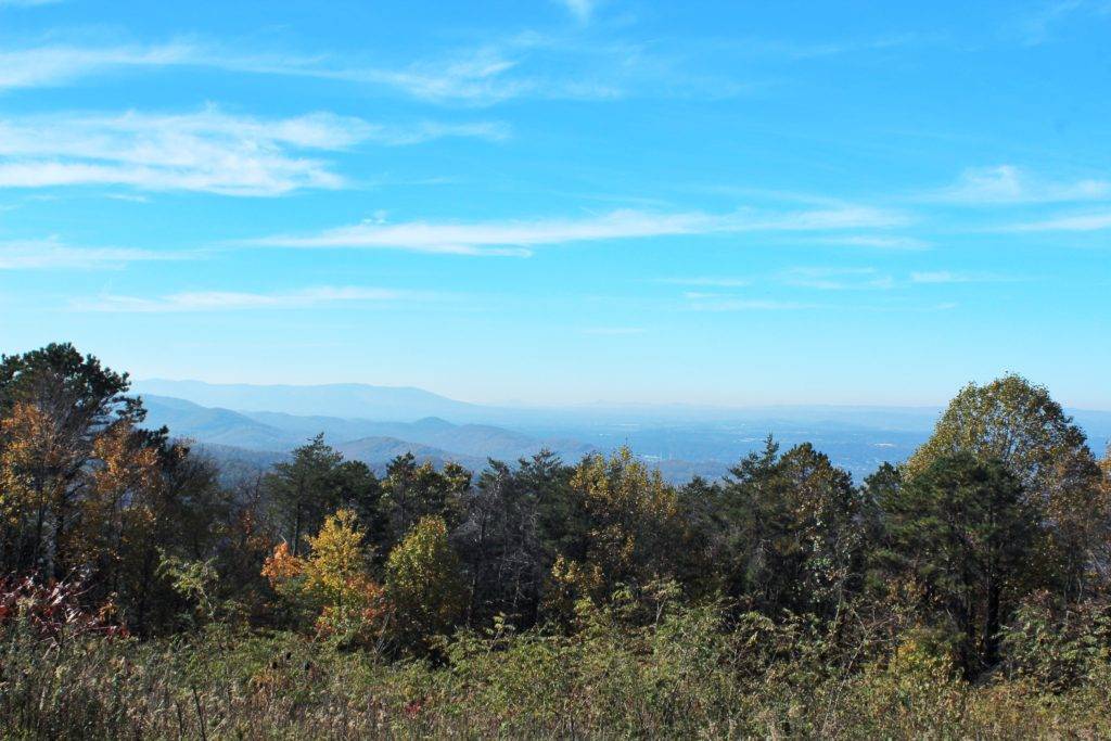 evergreen trees with mountains and valley in teh background on Skyline Drive