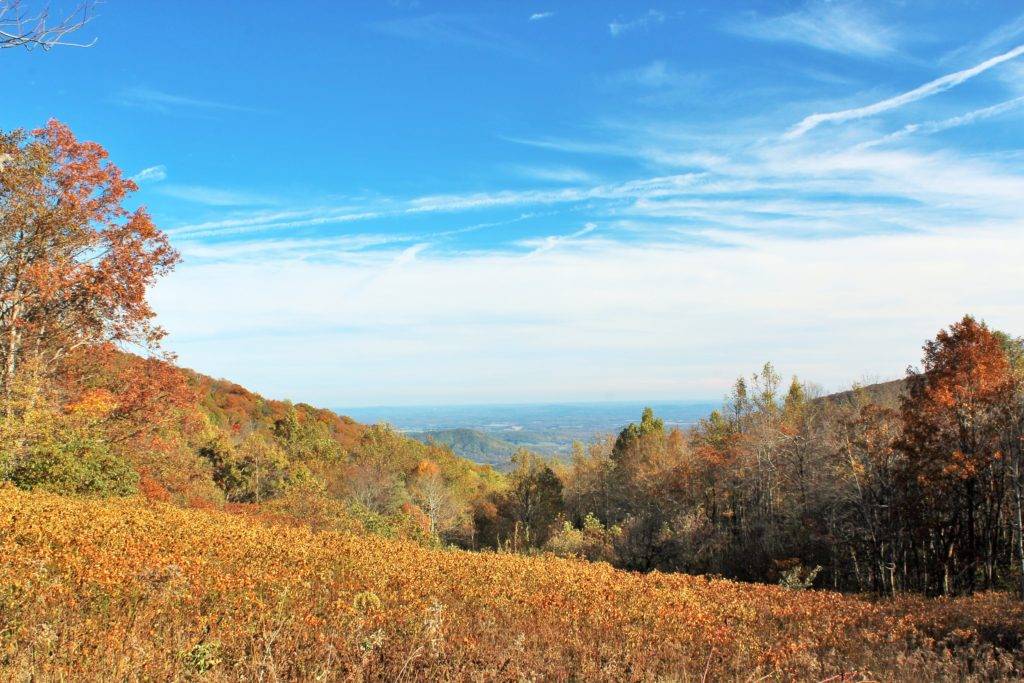 Bright orange and yellow hill overlooking a green valley in Shenandoah National Park