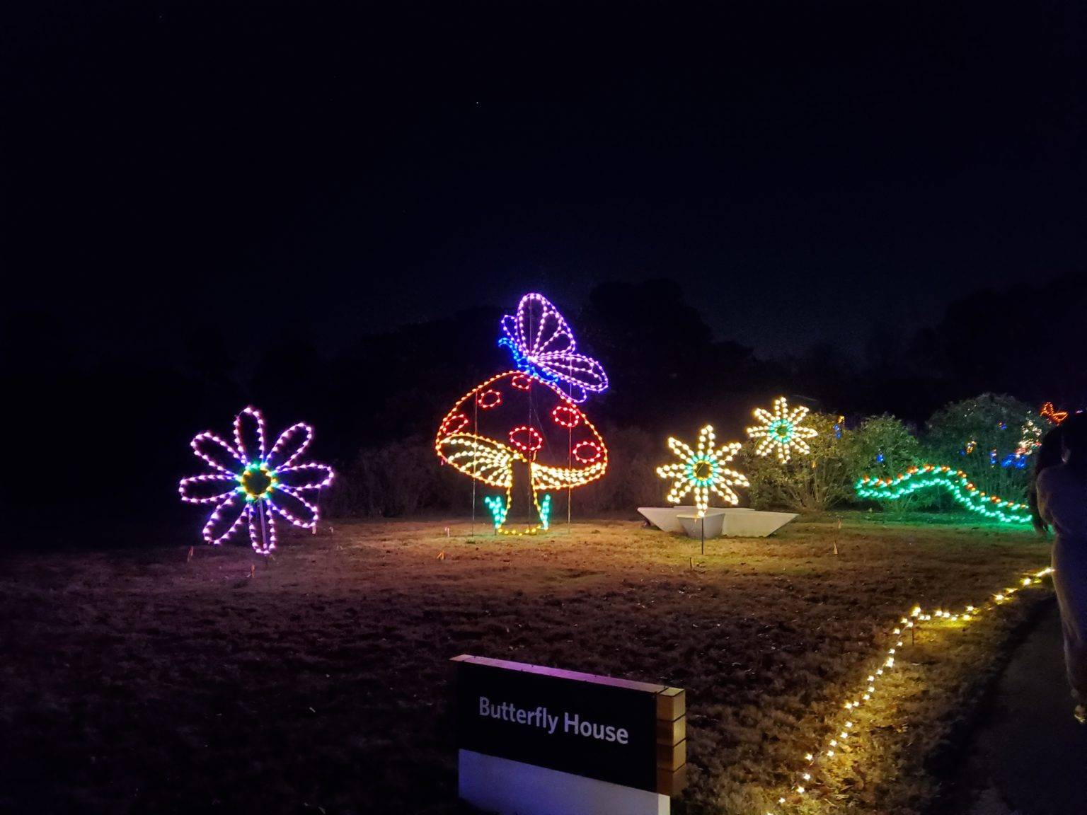 Holiday Lights & Magic Await at the Million Bulb Walk!