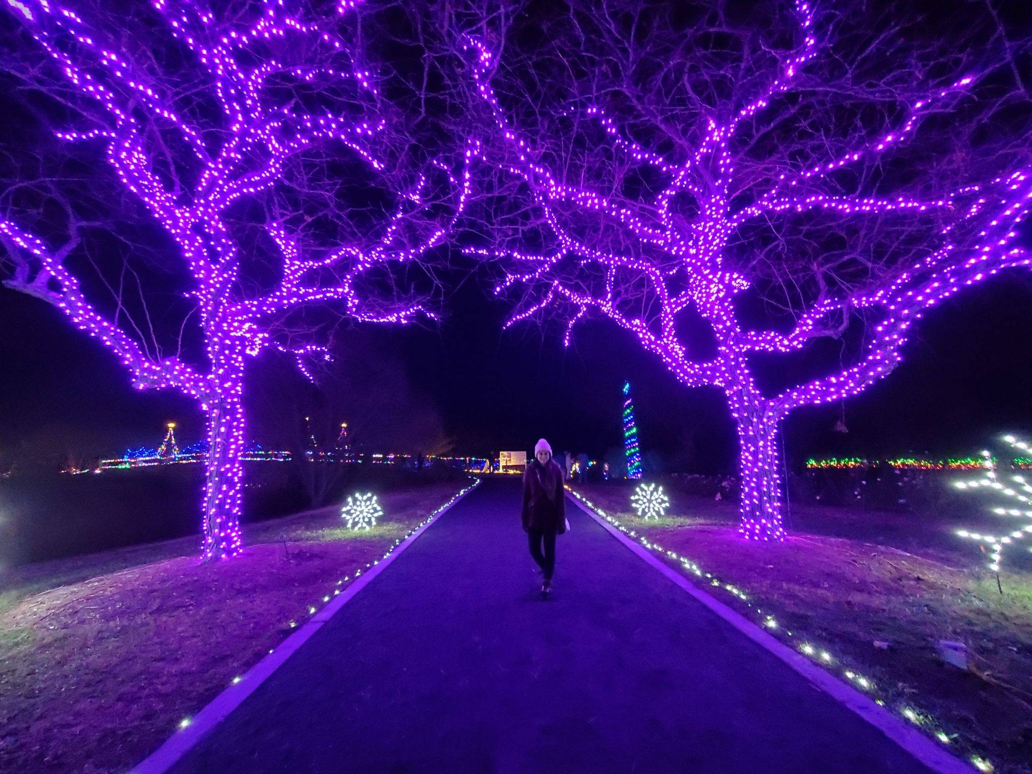 Holiday Lights & Magic Await at the Million Bulb Walk!