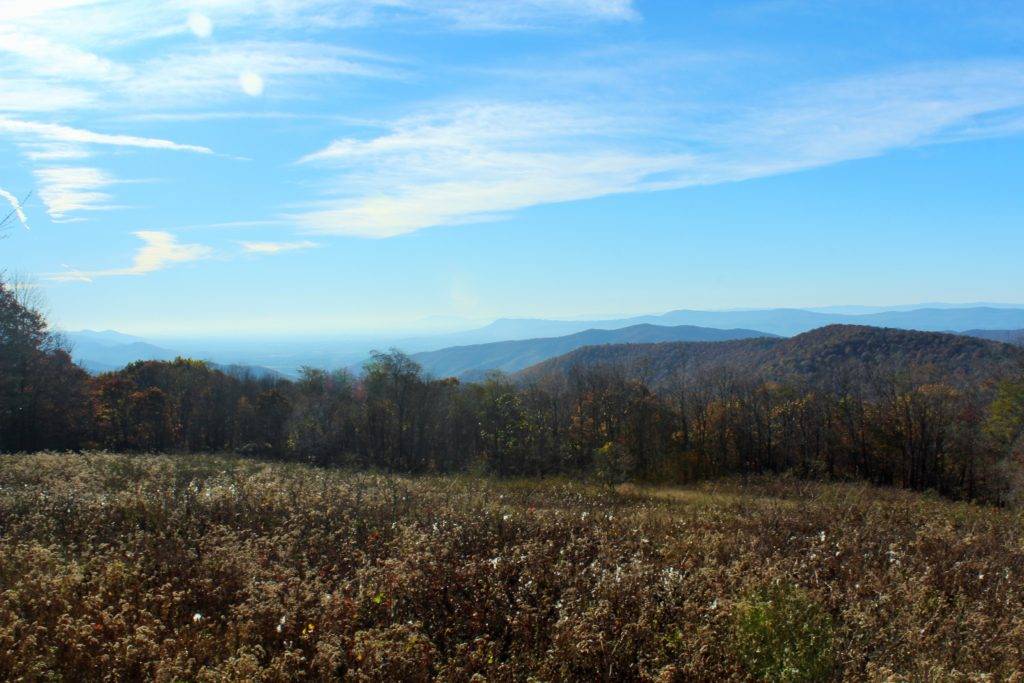 Skyline Drive's Naked Creek