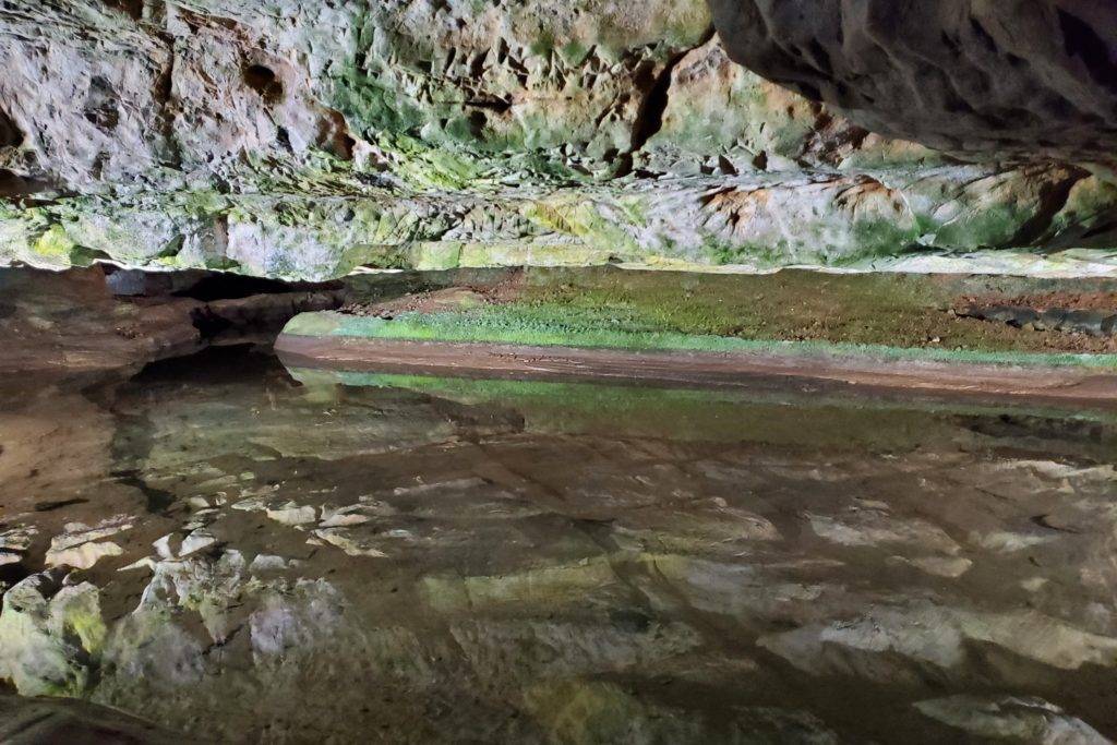 Underground stream where trout swim beneath the Shenandoah mountains