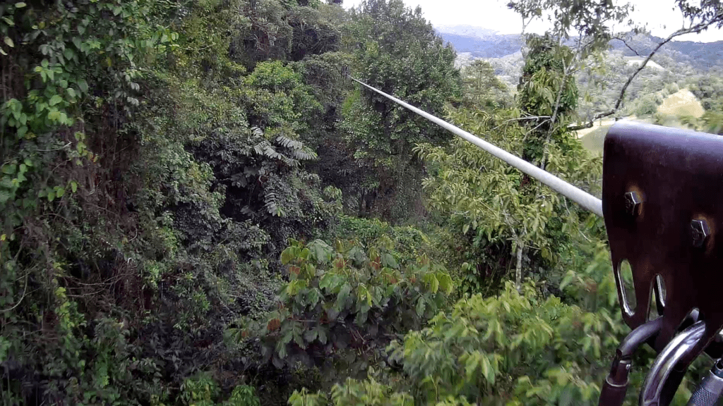 zip line disappearing into the La Fortuna rainforest