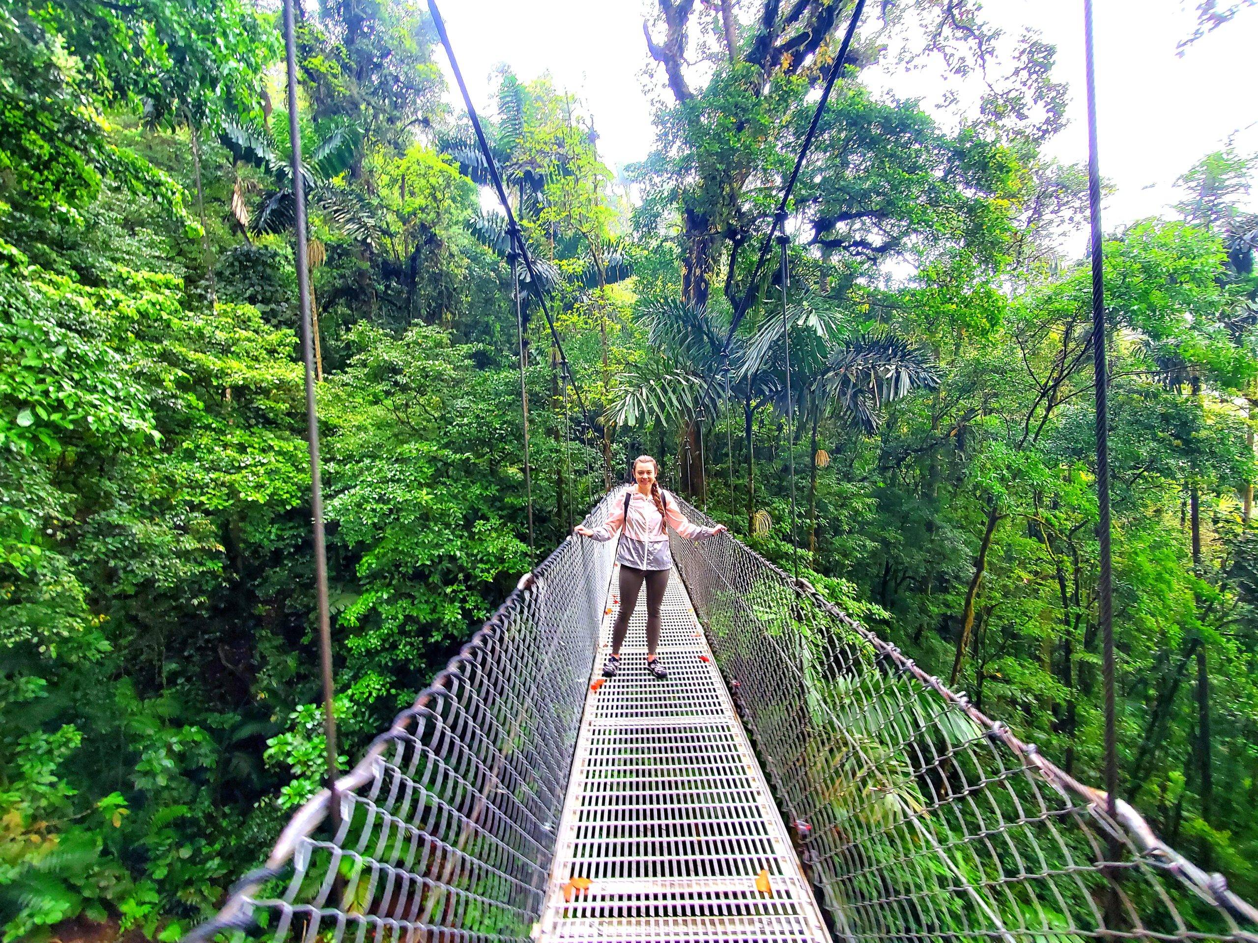 girl standing on a suspensions bridge in the rainfroest