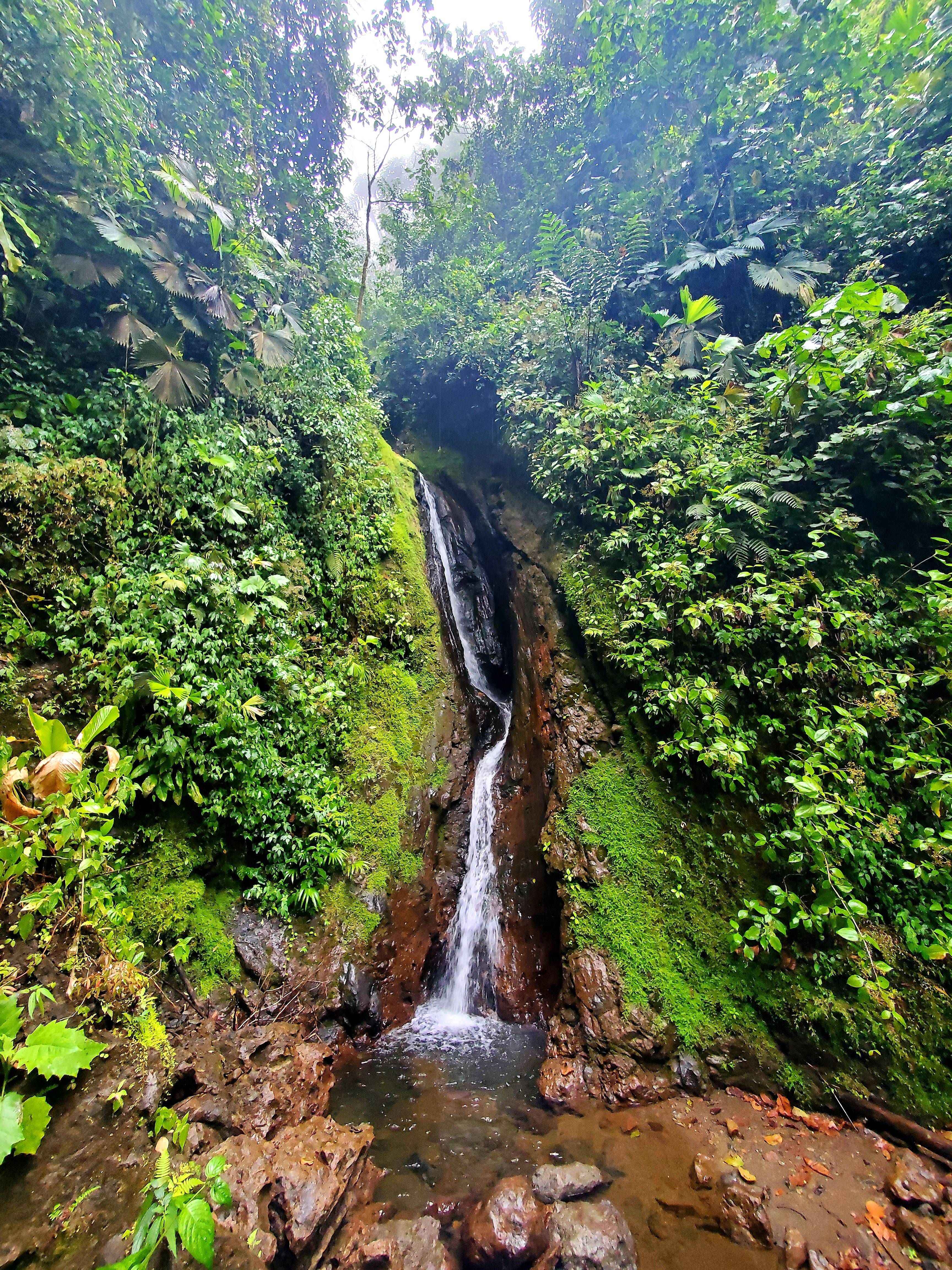 waterfall at mistico hanging bridges park