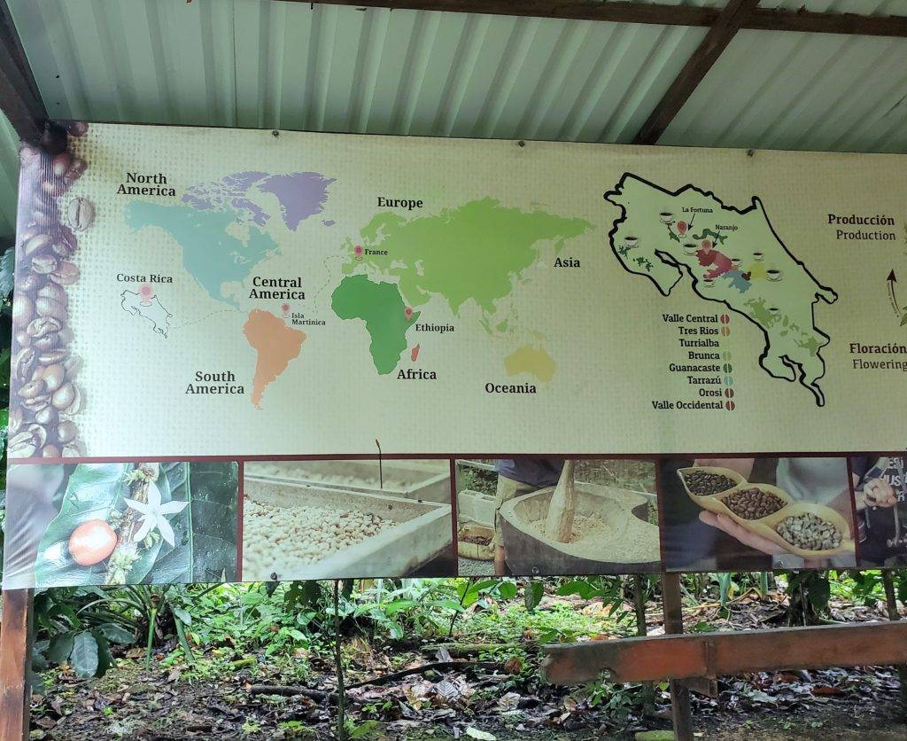 Map of coffee around the world