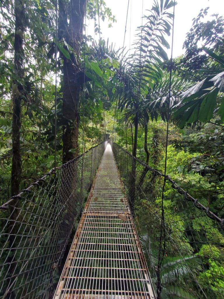 suspension bridge at mistico hanging bridges park