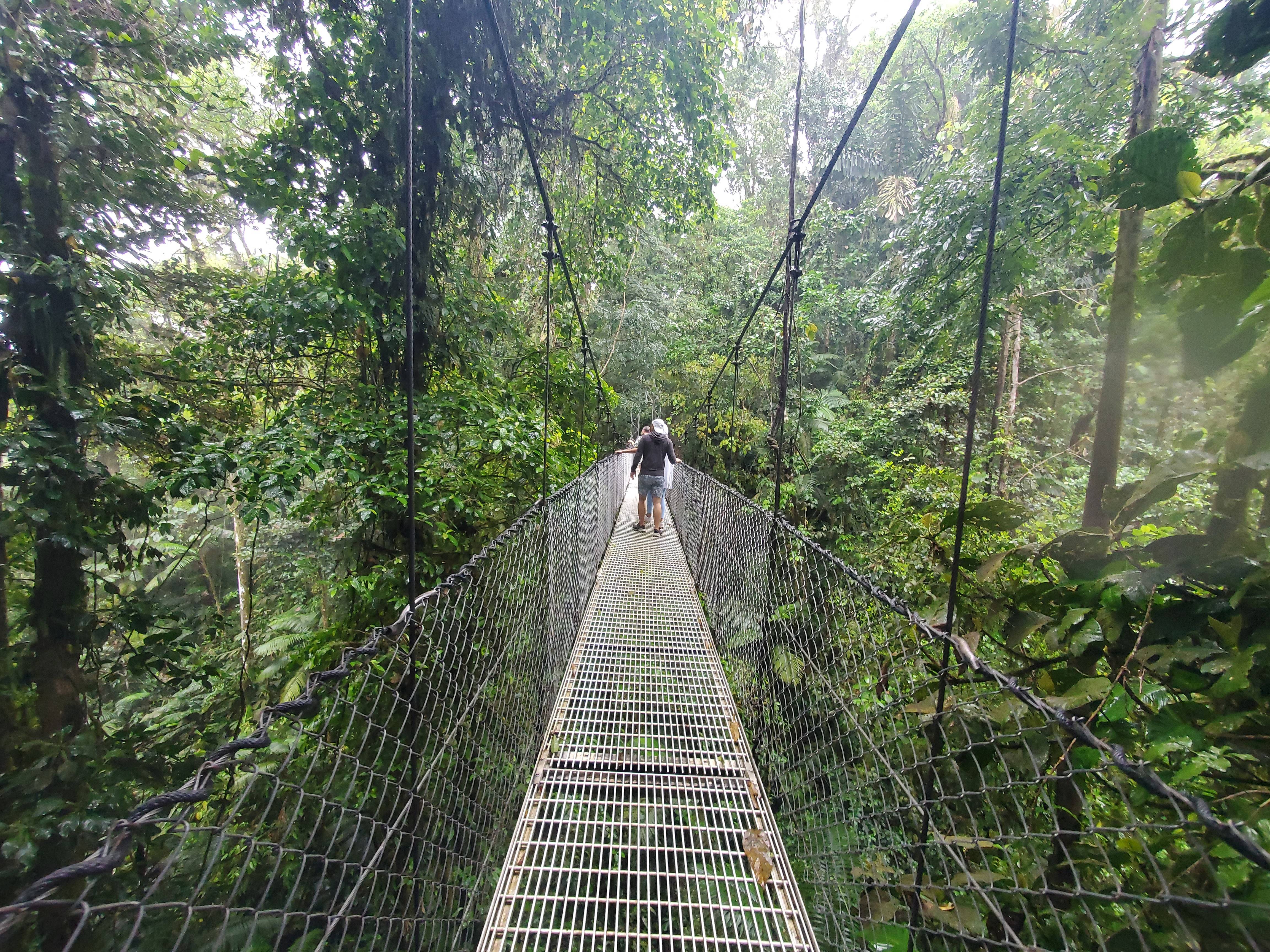 suspension bridge at mistico hanging bridges park