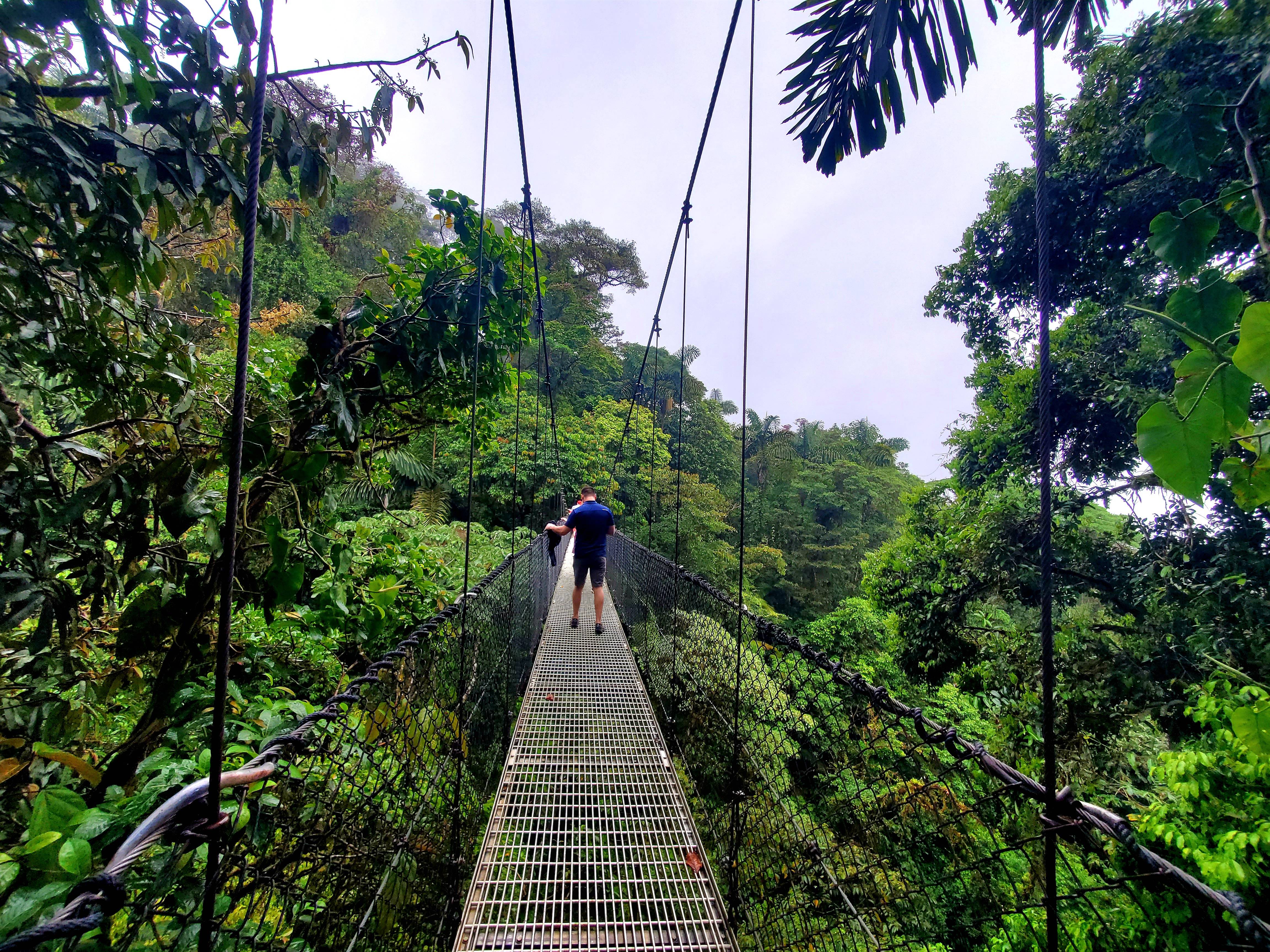 suspension bridge at mistico hanging bridges park