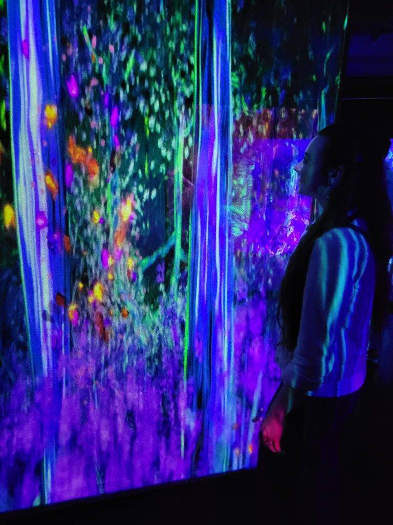 Colorful installation at Artechouse DC, 2022