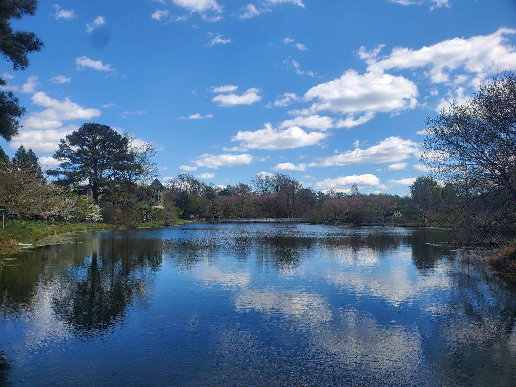 Sydnor Lake in Spring at Lewis Ginter Botanical Garden